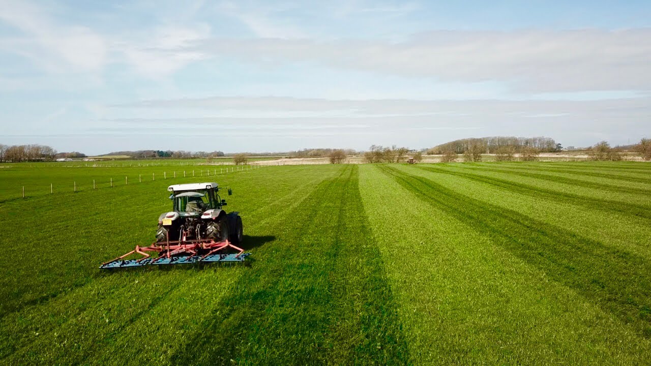 SPRING HARROWS vs CHAIN HARROWS