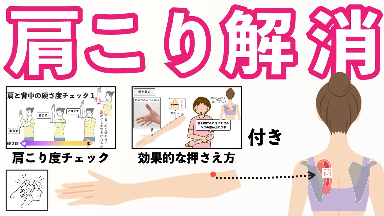 【肩こり解消】肩甲骨周り（肩甲骨と背中の間）のコリに効くツボ手三里