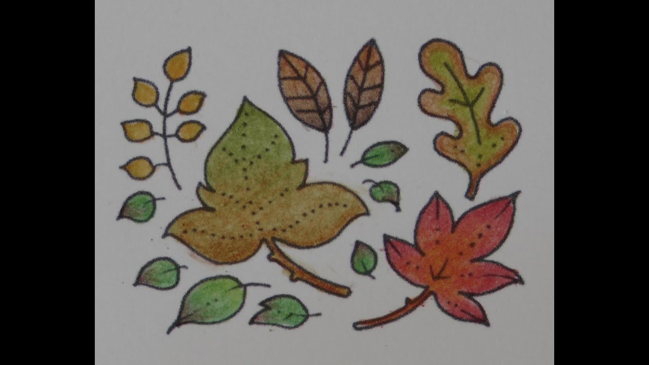 Adult Colouring Tutorial Autumn Leaves - from Flourish and Worlds of Wonder by Johanna Basford