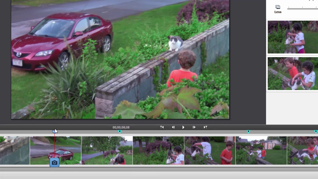 Candid Moments with Premiere Elements 2018