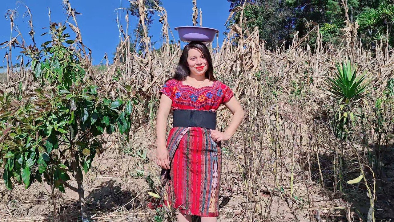 Cosechando Aba. #guatemala #mexico