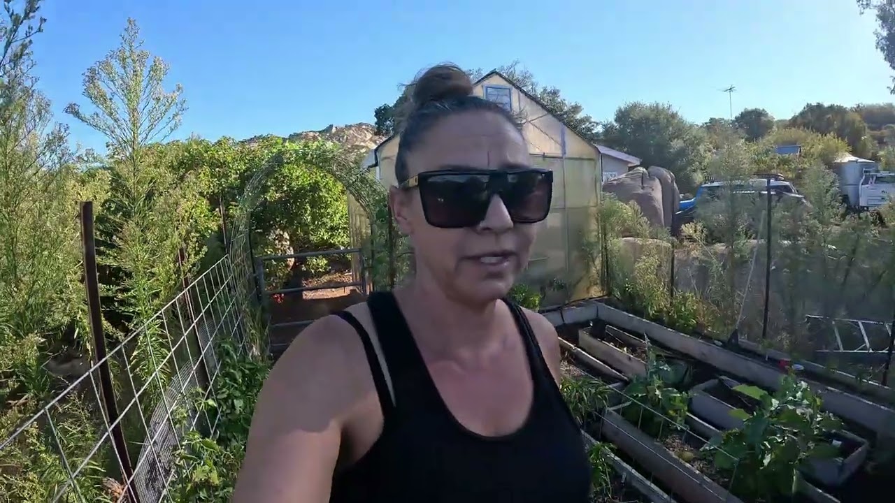 I Did It, I Laid Down Weed Barrier | And An Update On The Property I Grew Up On...