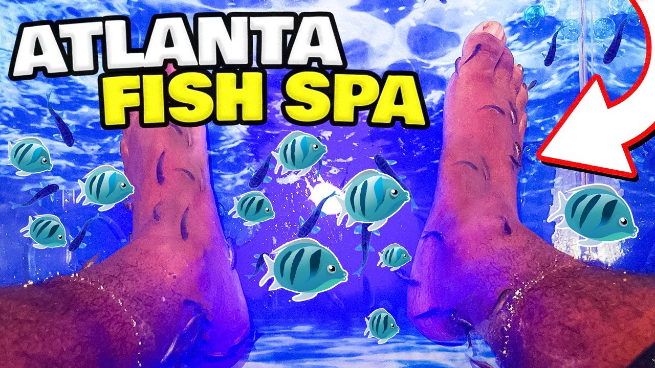 ATLANTA FISH SPA EXPERIENCE! 😳