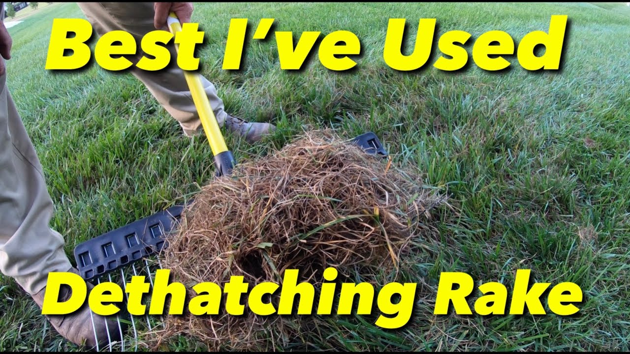Best Lawn Rake I Have Ever Used