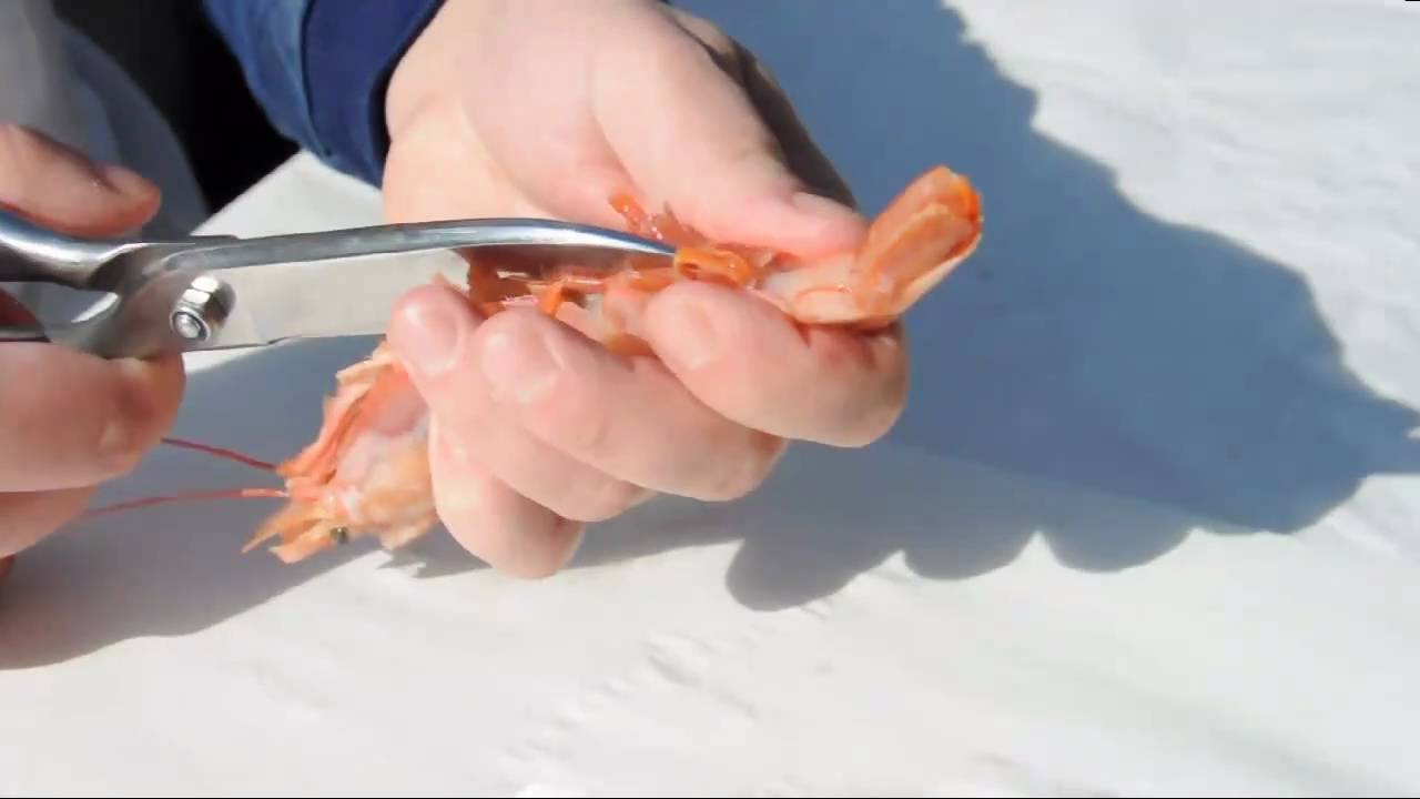 Shrimps/Garnelen putzen leicht gemacht - How to clean prawns