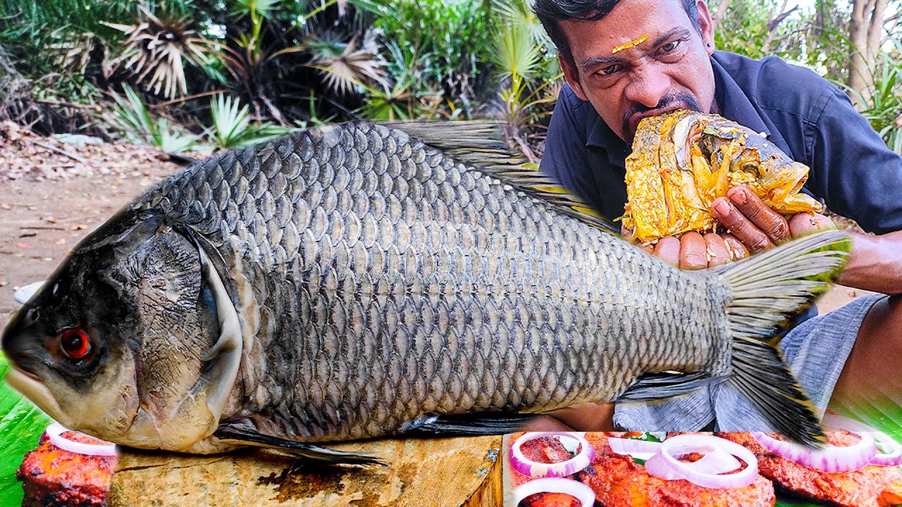 2 BIG FISH COOK & EAT  With WHITE RICE || VILLAGE WORLD COOKING