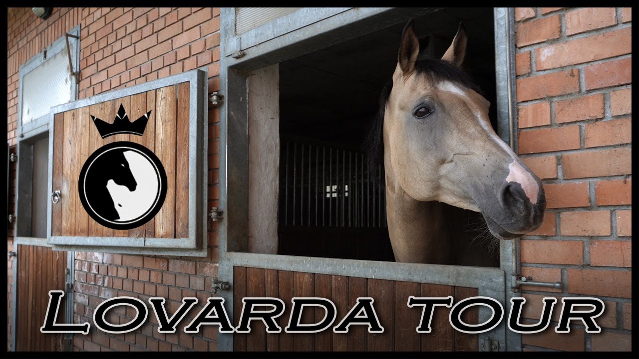 Lovarda tour - Nimród lovarda ×× Renequine
