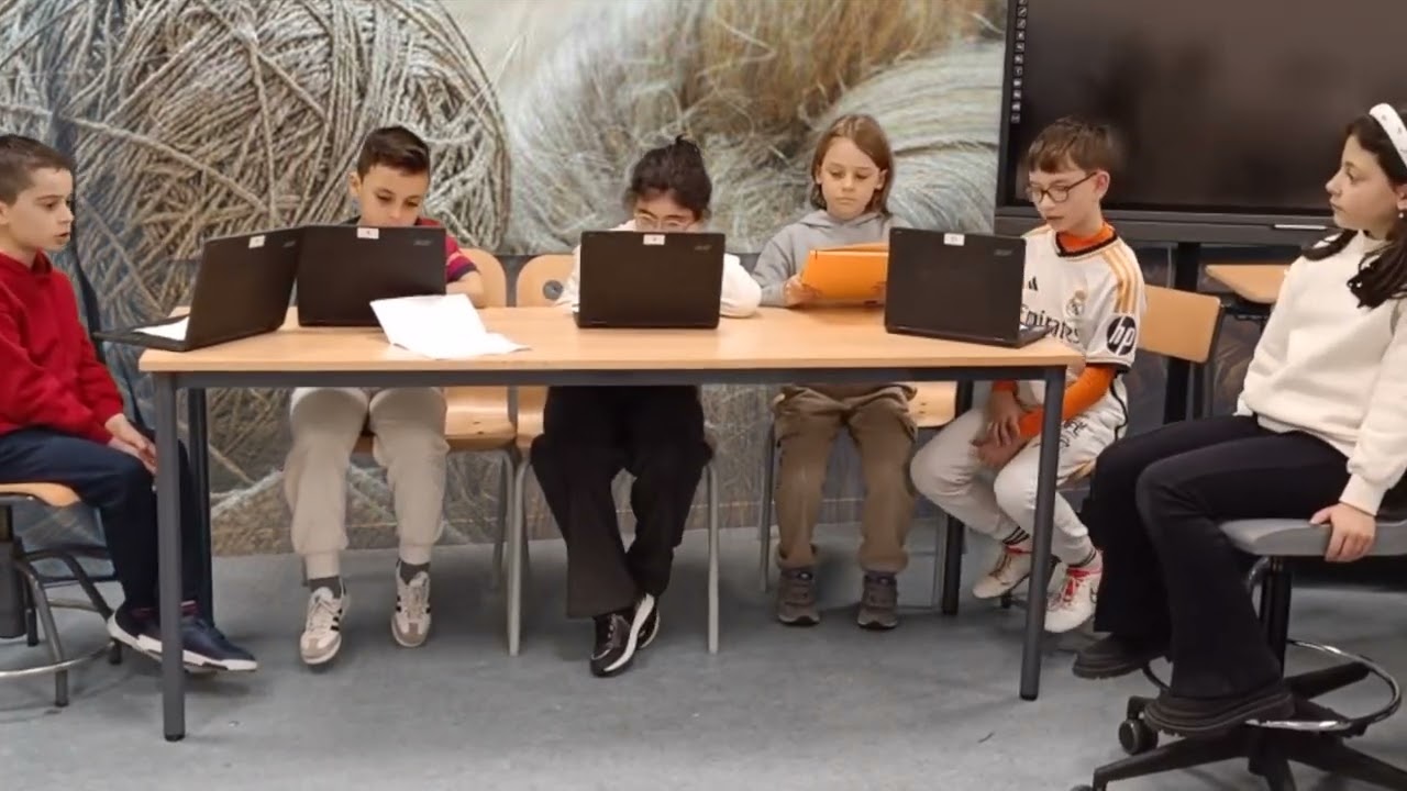 COMO É POSIBLE QUE OS CASTREXOS NON COMPRASEN POR INTERNET AS TEAS? - 3º PRIMARIA B