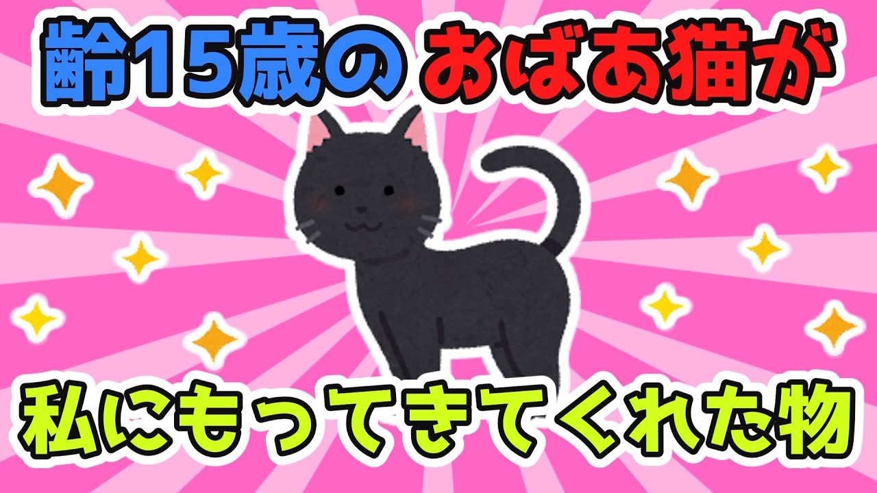 齢15歳になるうちのおばあ猫が、たったったと私にところにもってきてくれたんだｗ可愛いｗ【2ch面白スレ/ほのぼのスレ】【ゆっくり解説】