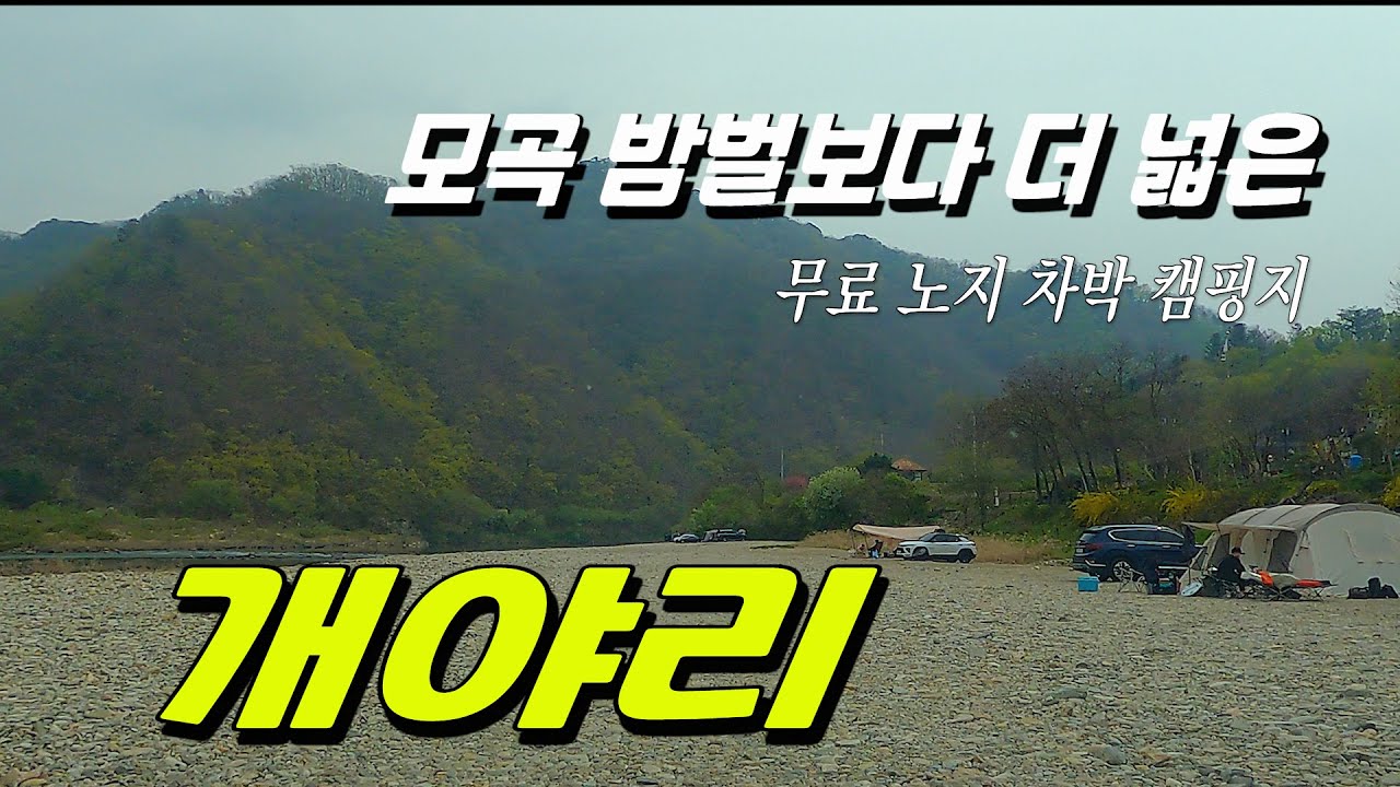 모곡 밤벌 유원지보다 더 넓은 강변 캠핑 차박지 개야리 | 카라반 진입가능 화장실 있음