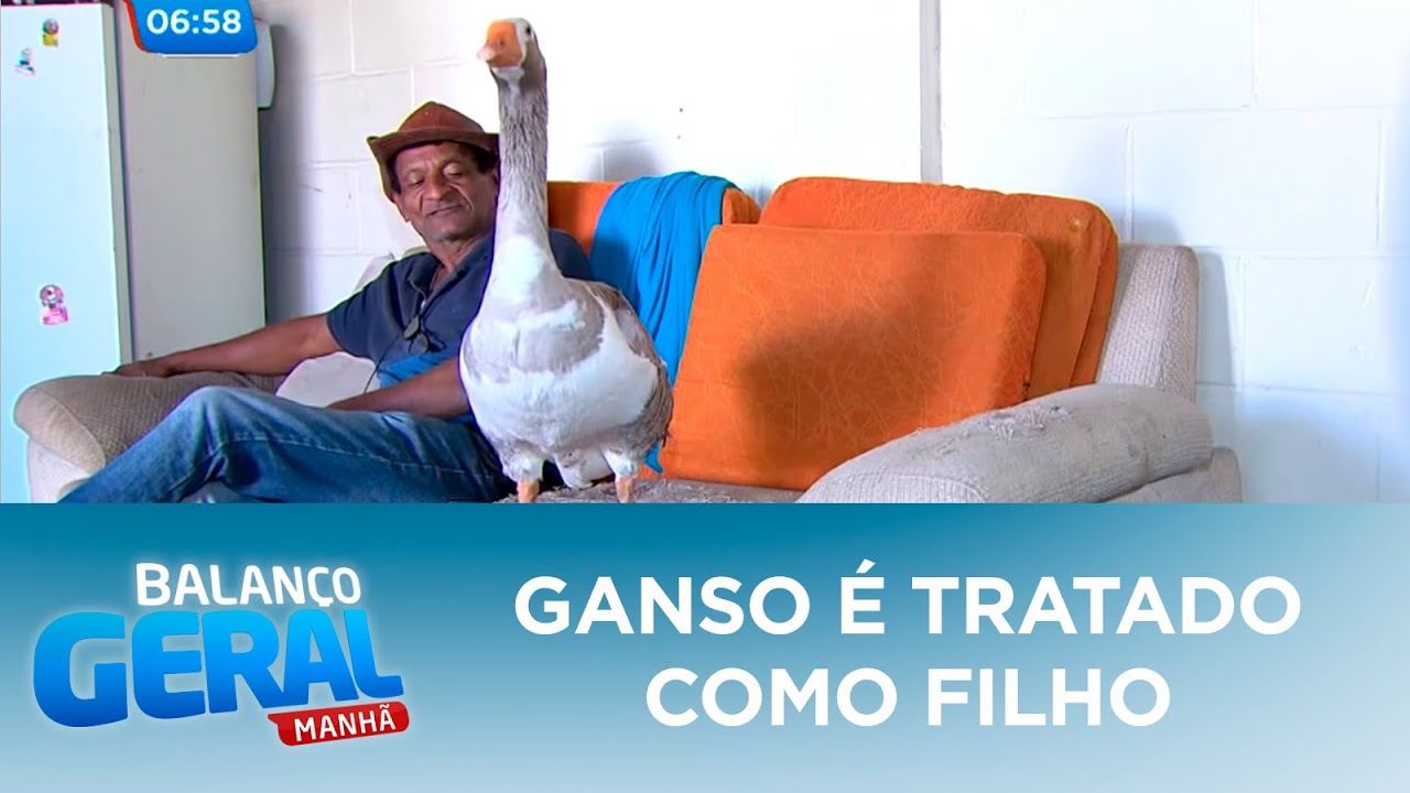 Ganso &eacute; tratado como filho e vira celebridade nas ruas
