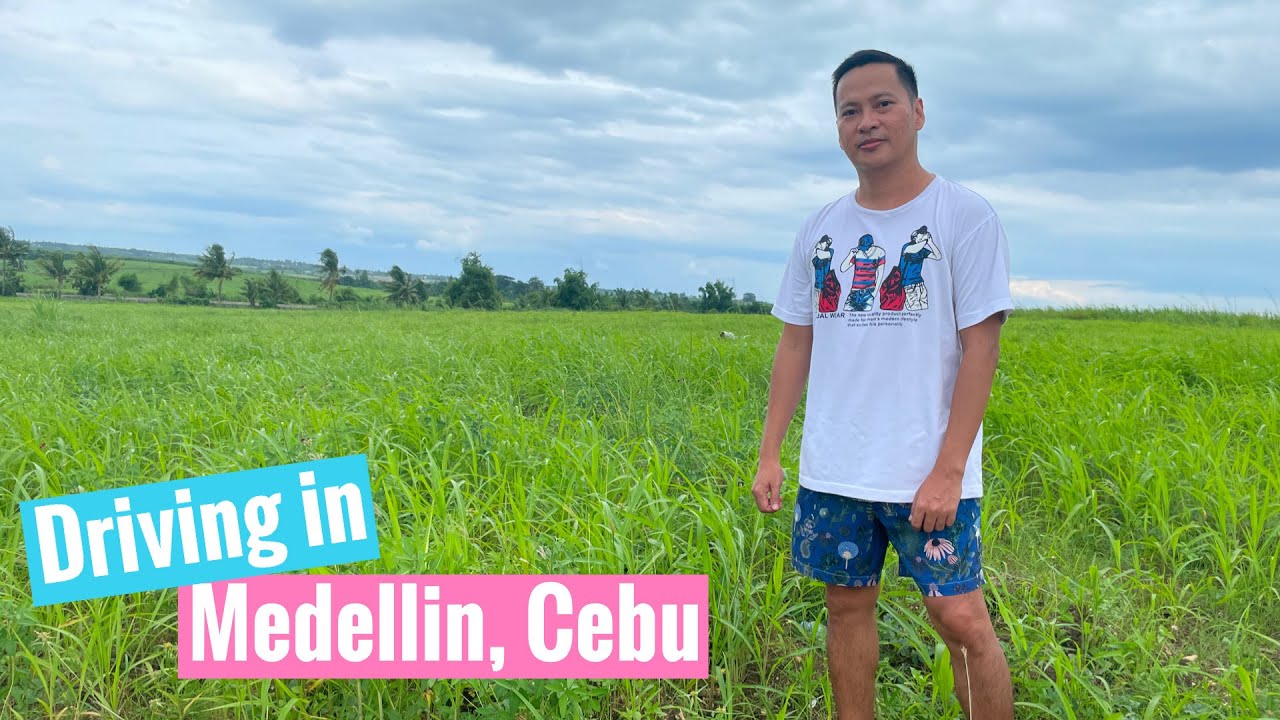 Road trip in Medellin | Bantayan Beach | Hideaway | Medellin Bamboo Forest