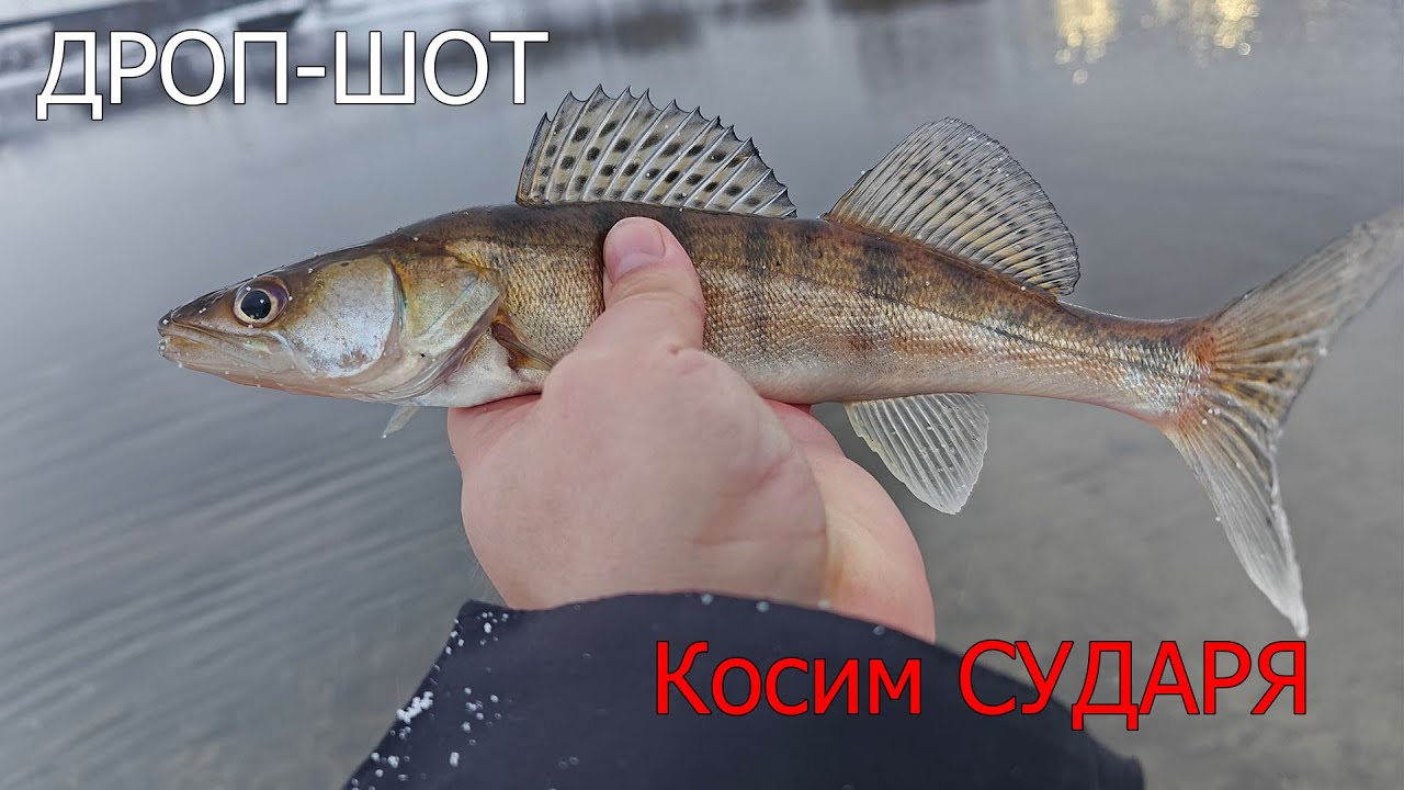 Рыбалка на спиннинг Москва-река: Дроп-Шот в Январе