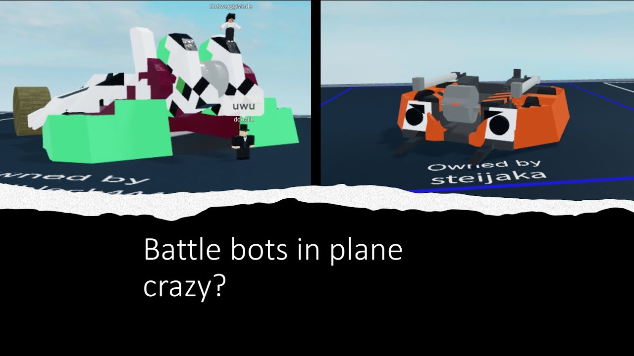 Battle bots in plane crazy?!