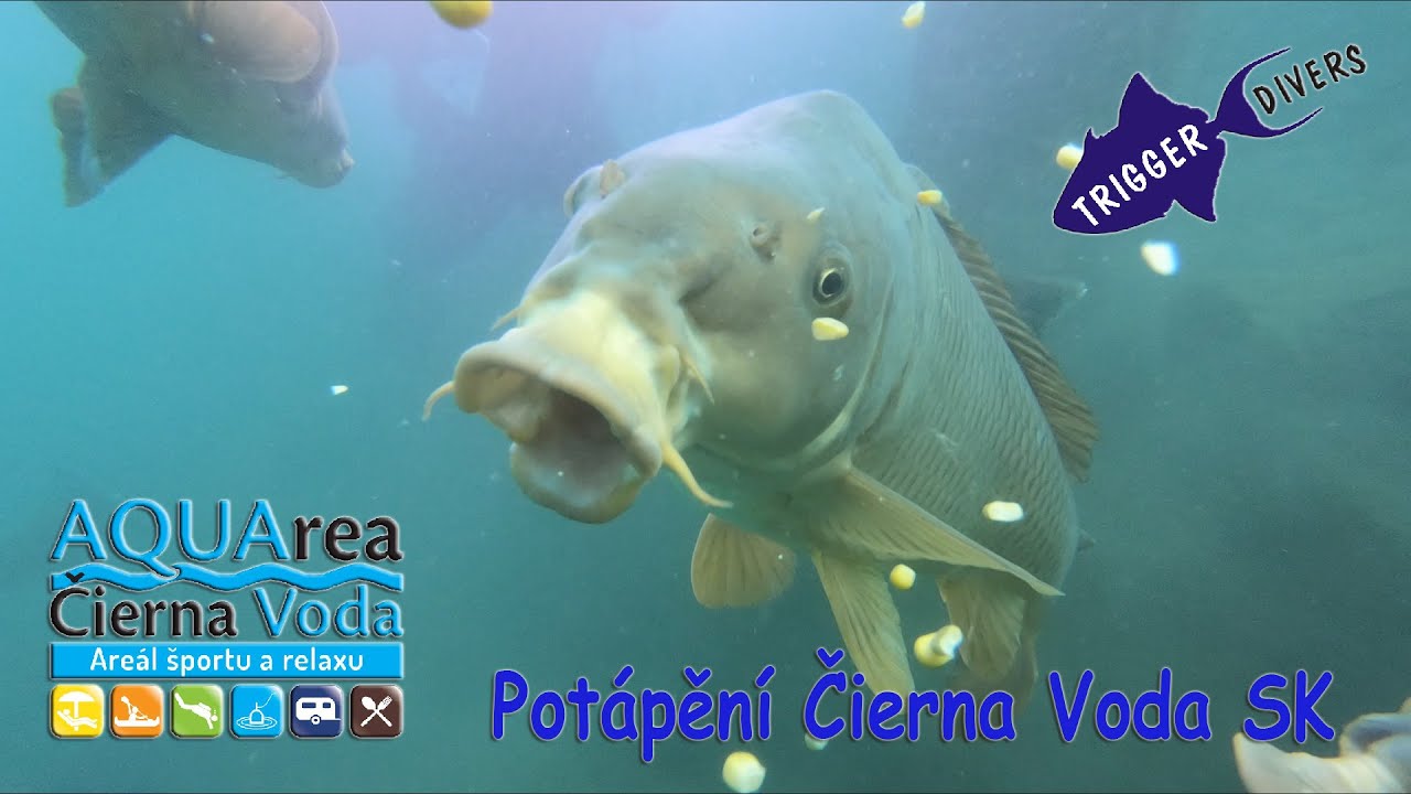 Čierna Voda 2024 - Trigger Divers