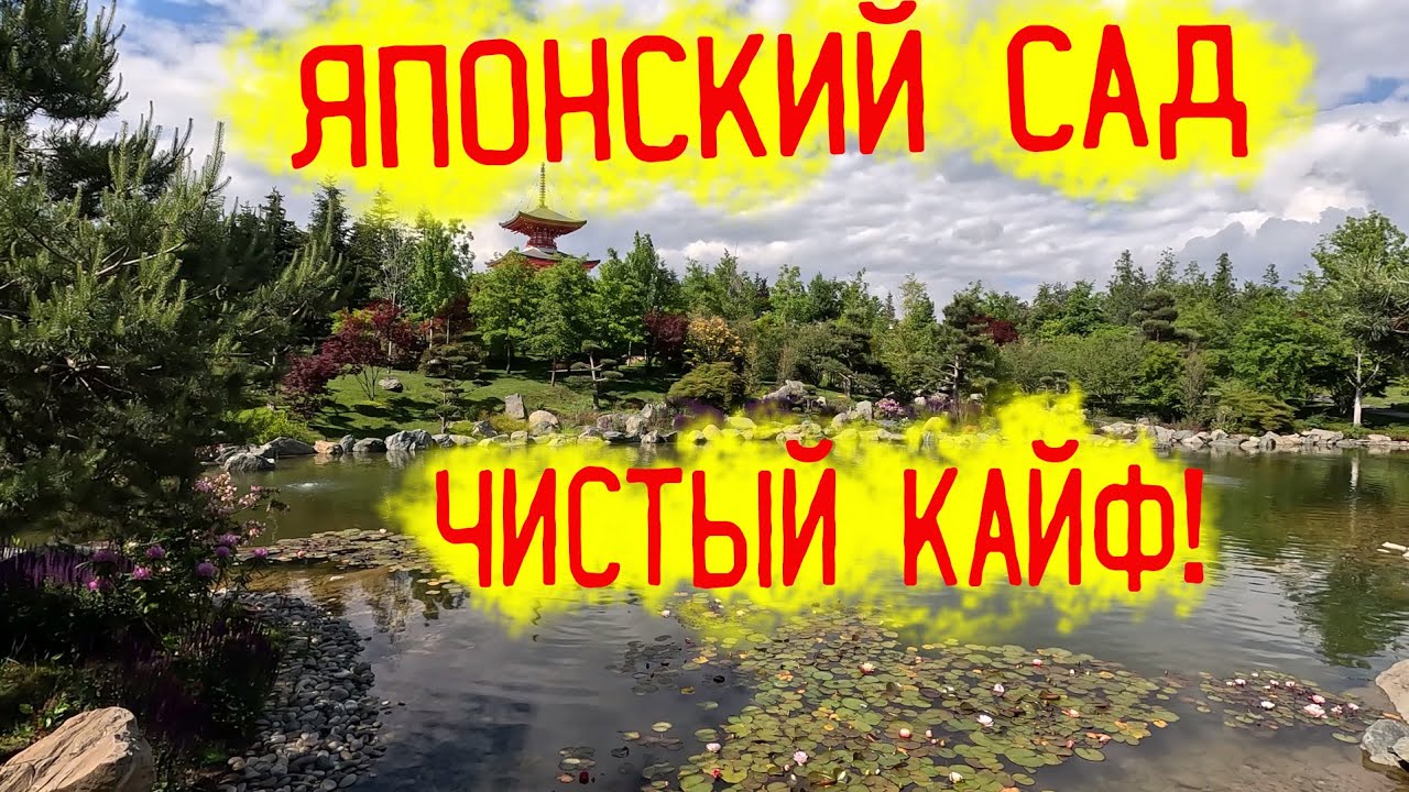 Японский сад в парке Галицкого! Чистый кайф! Посмотрите сами!