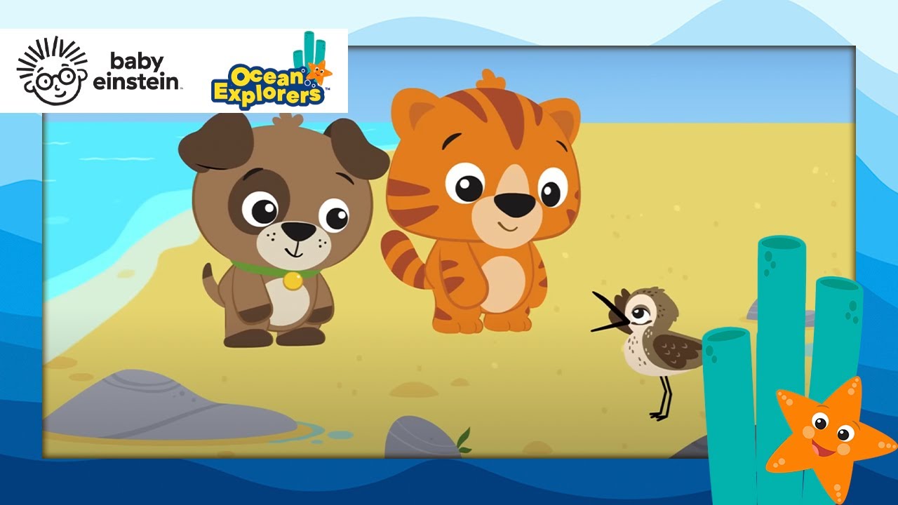Using Tools with a Sandpiper + more Ocean Explorers | Baby Einstein | Learning Show for Toddlers