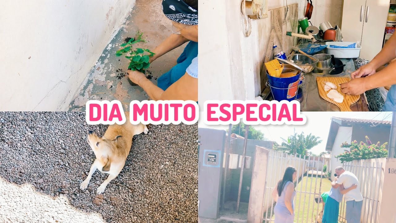 NA CASA DA SOGRA EM CHAPADÃO DO SUL / MARIDO FEZ FILÉ DE TILÁPIA NO ALMOÇO / MOMENTOS MUITO BONS 🙏