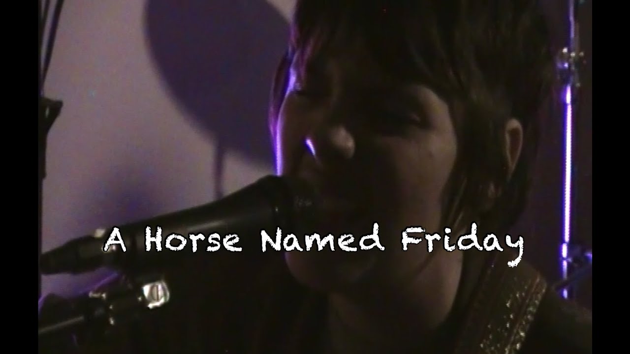 A Horse Named Friday live at Rooneys
