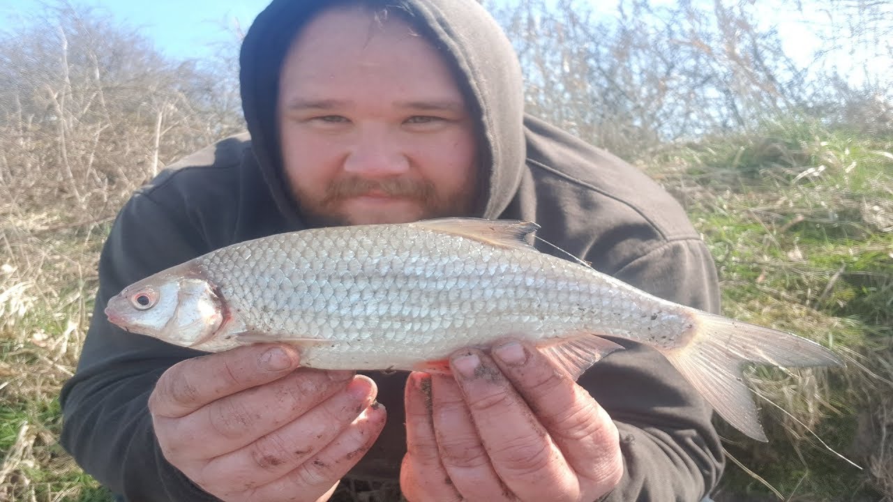 Feeder Fishing For Roach With Groundbait