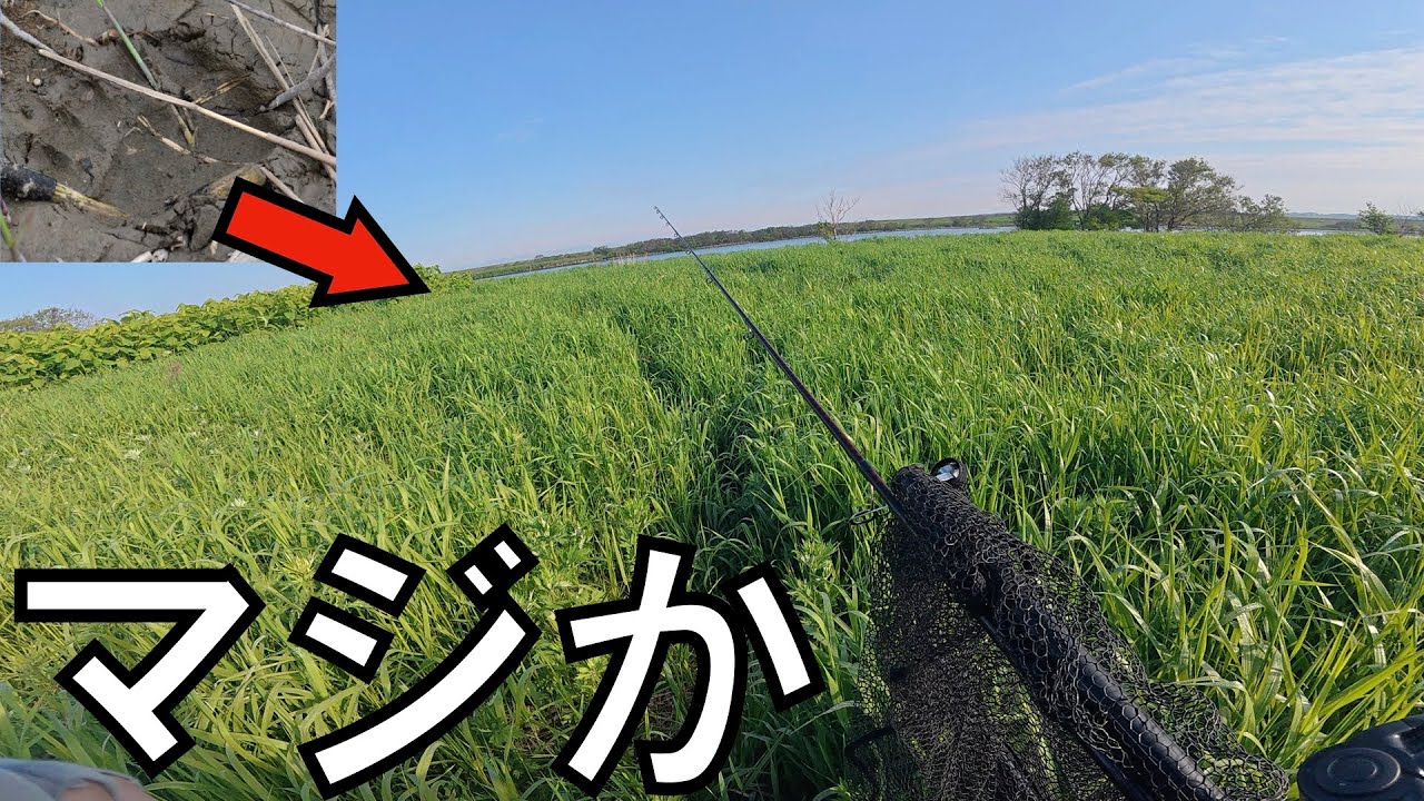 熊にビビりながらも、アレを爆釣させる【メーターイトウチャレンジ 2025 後編】