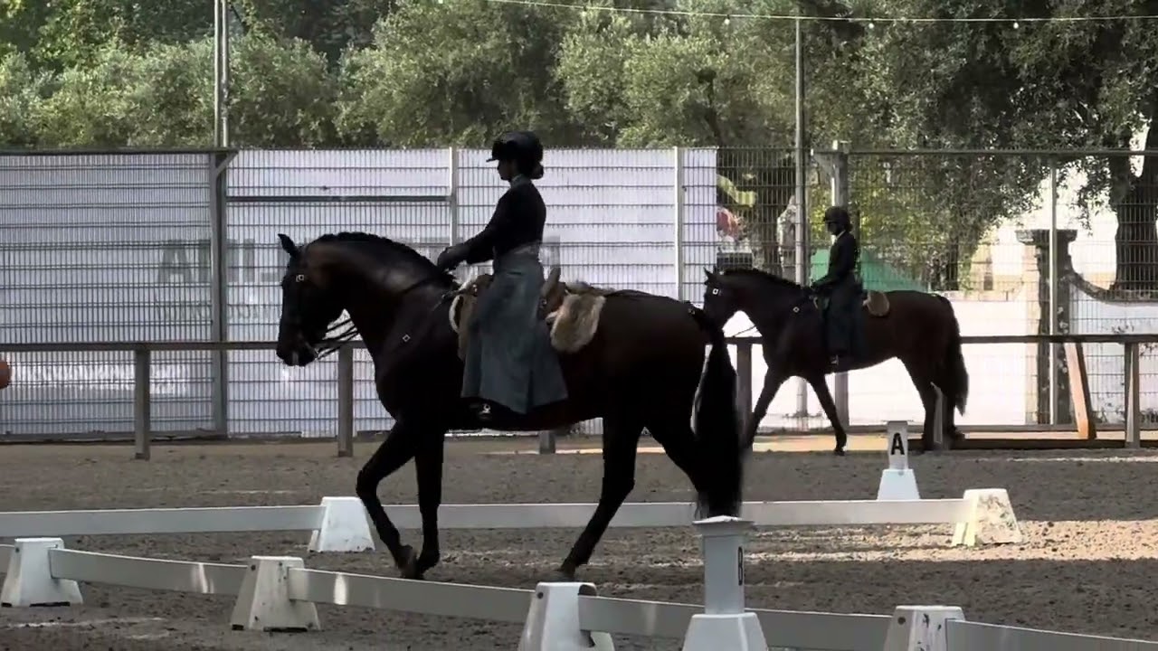 Lara e Endiabrado - Dressage Test 72% WE