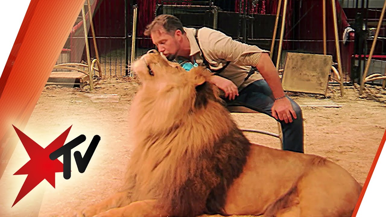 Direktor vom Circus Krone: Wie der „König der Löwen“ Tierschützern begegnet | stern TV