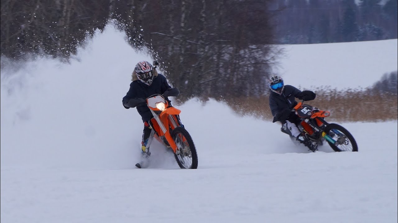F!LM of the Arctic Carrots - SPJ