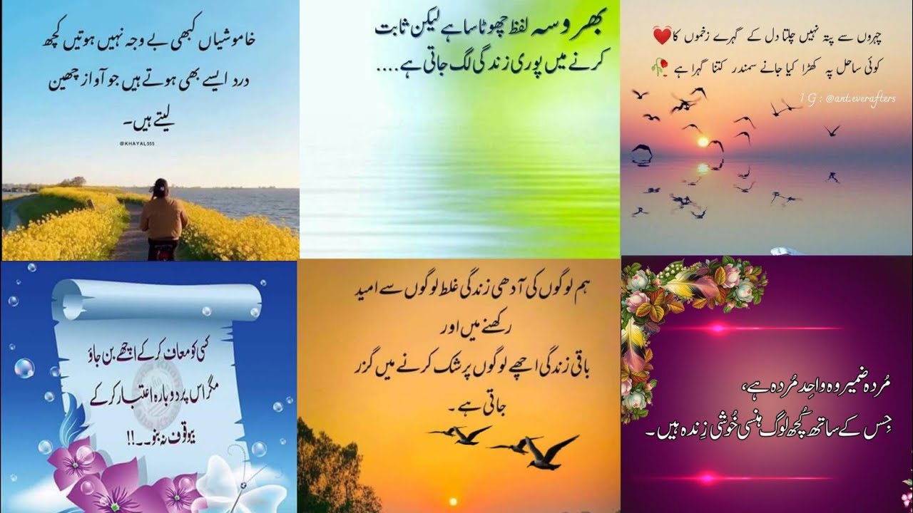 life changing Motivational quotes  | best urdu quotes collection | daily life quotes|golden Soul