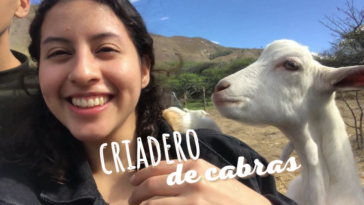 CRIADERO DE CABRAS - Oña / Ecuador │  Maryi ♥