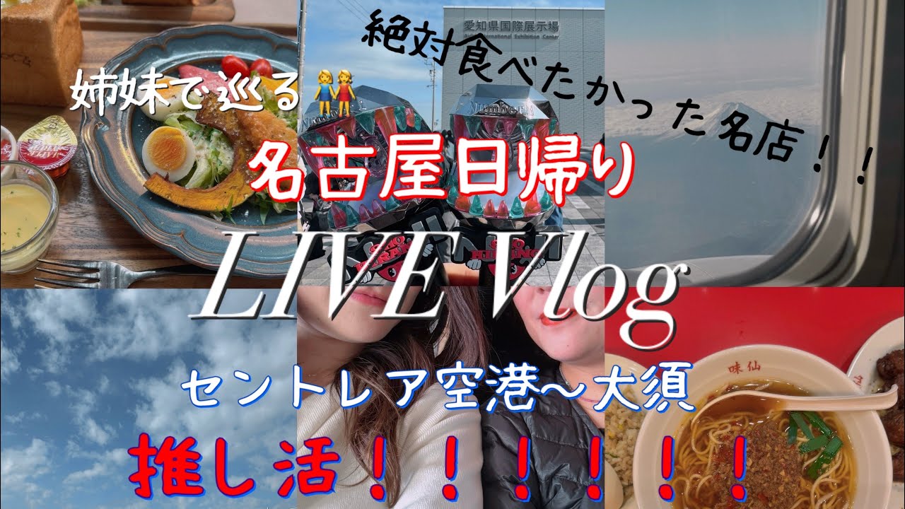 [LIVE Vlog] 名古屋日帰り旅行✈️推し活💙❤️💜名古屋飯🍜(ライブ映像あり)