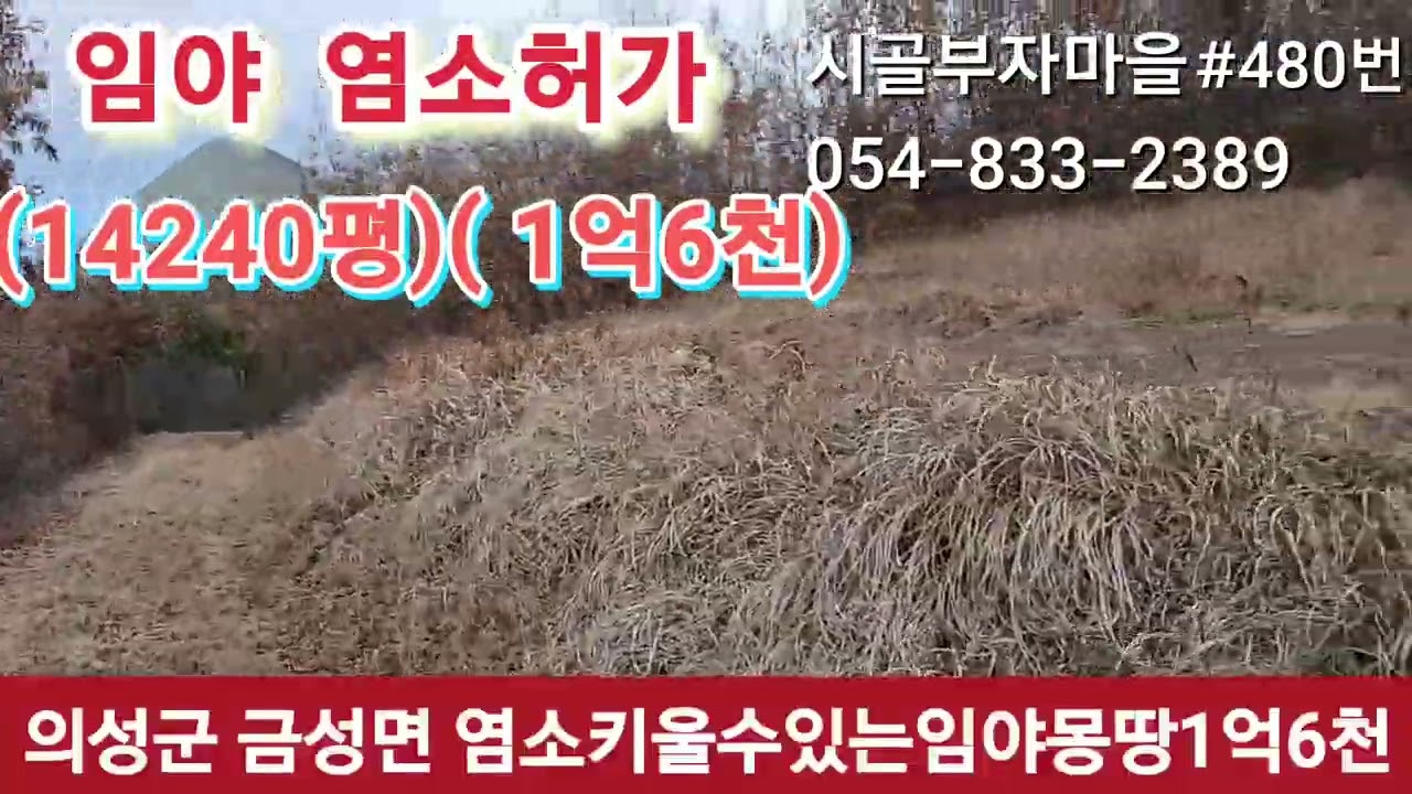 #시골부자마을 054-833-2389 #의성금성면#염소#임야#의성좋은 임야 #주택#촌집#사과밭#자두밭 #논밭#포도밭#농막#지하수#귀농