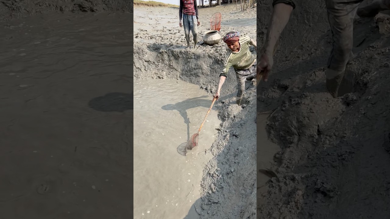 Unbelievable! Big fish caught by hand under water.#fishingvlog #handfishing #bigfish #amazingcatch