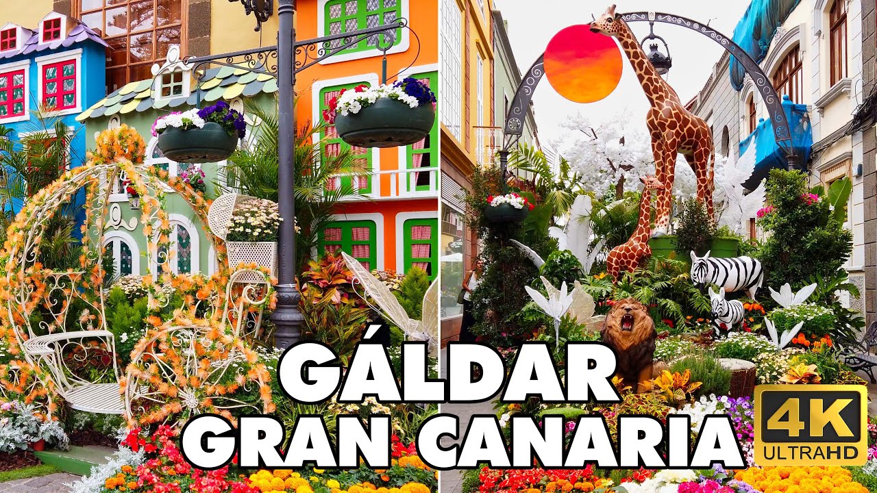 G&Aacute;LDAR - Gran Canaria | G&aacute;ldar en Flor: A Blossoming Celebration in Canary Islands