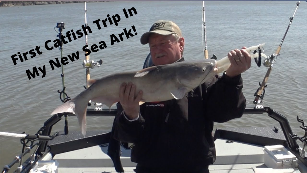 First Catfish Trip In My New Sea Ark #52 (5-1-2022)