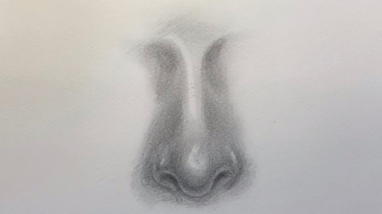 การวาดจมูก How To Draw a Nose I MBH