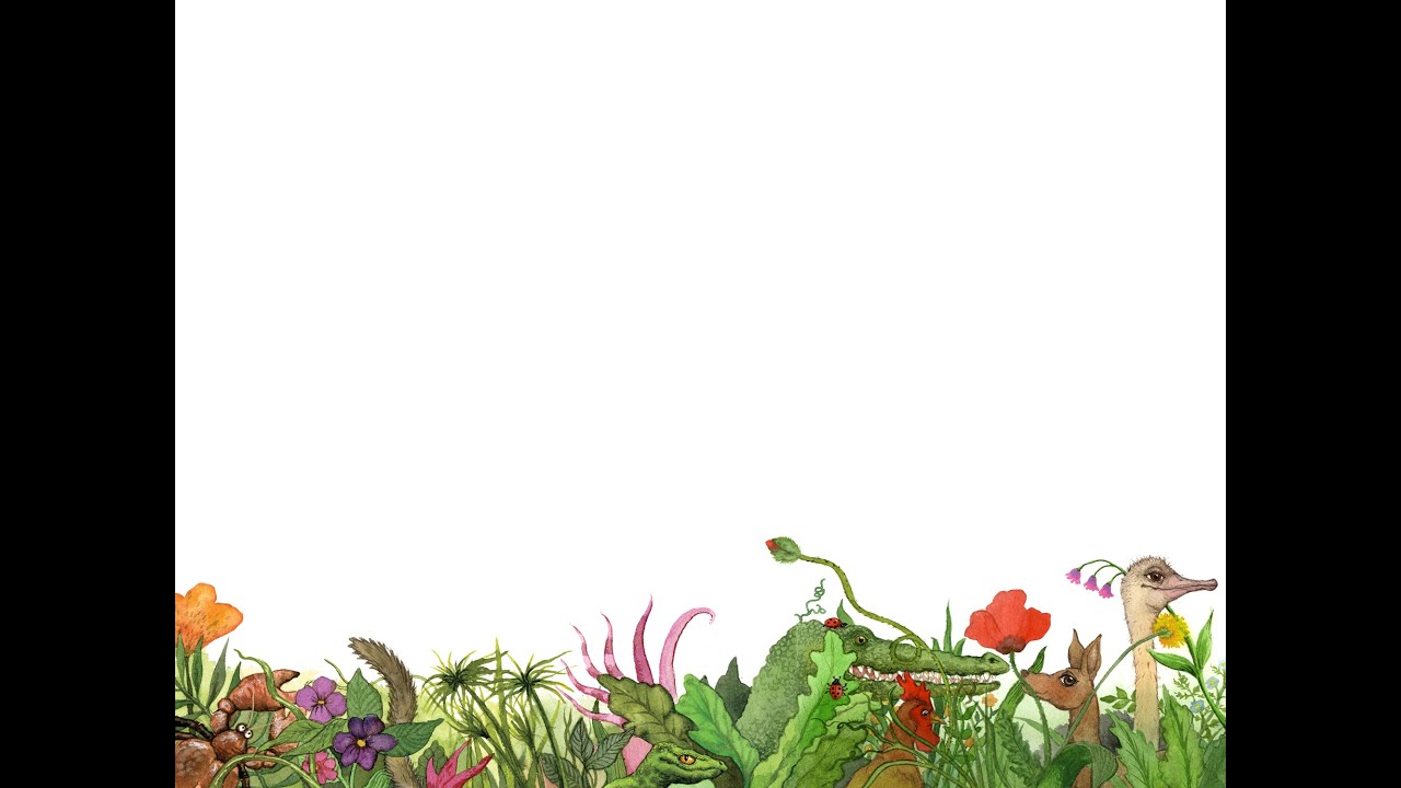 Au jardin des bêtes sauvages (Pierre Vellones) le spectacle