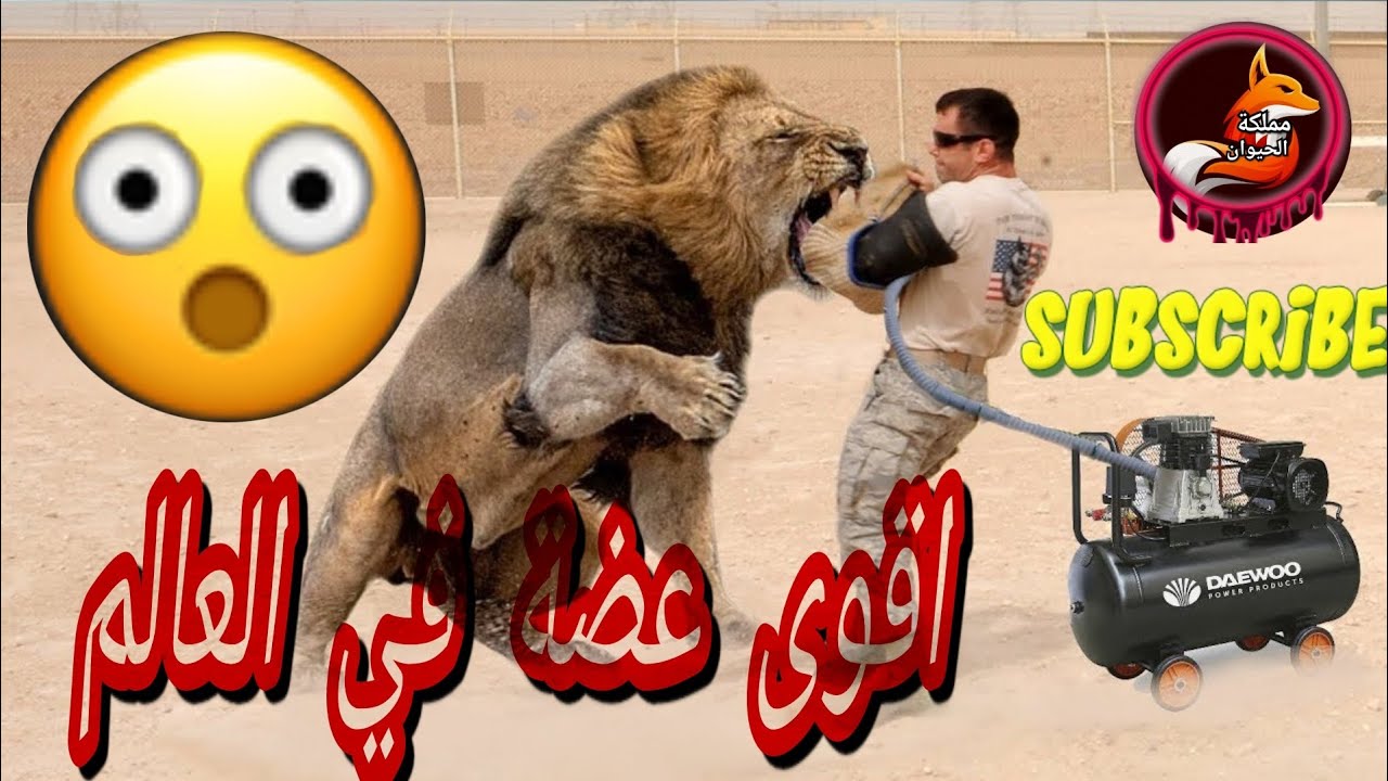 أقوى💪 عضات 🦖لحيوانات مفترسة🦁🐯 مختلفة