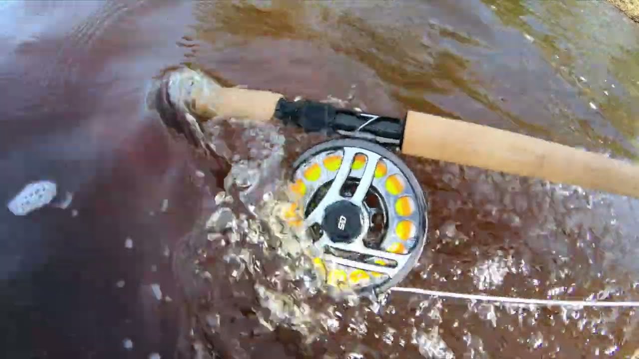 Spring fishing in lögde river, trout and salmon