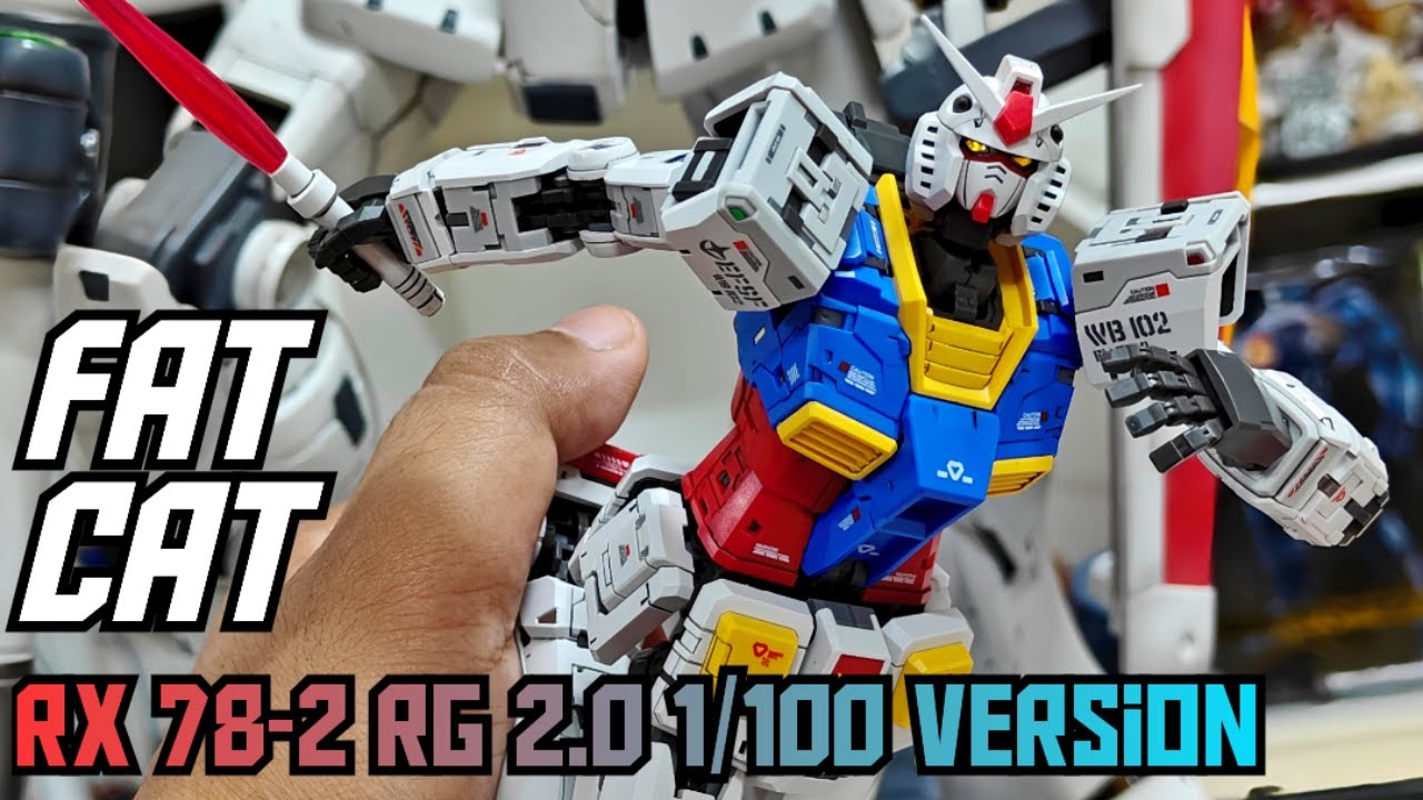 THE PERFECT BOOTLEG? FAT CAT RX 78-2 RG 2.0 1/100 VERSION UNBOXING AND FULL SPEED BUILD