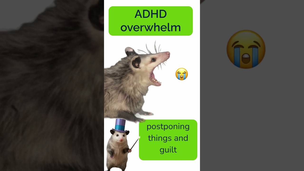 ADHD overwhelm explained by opposum 