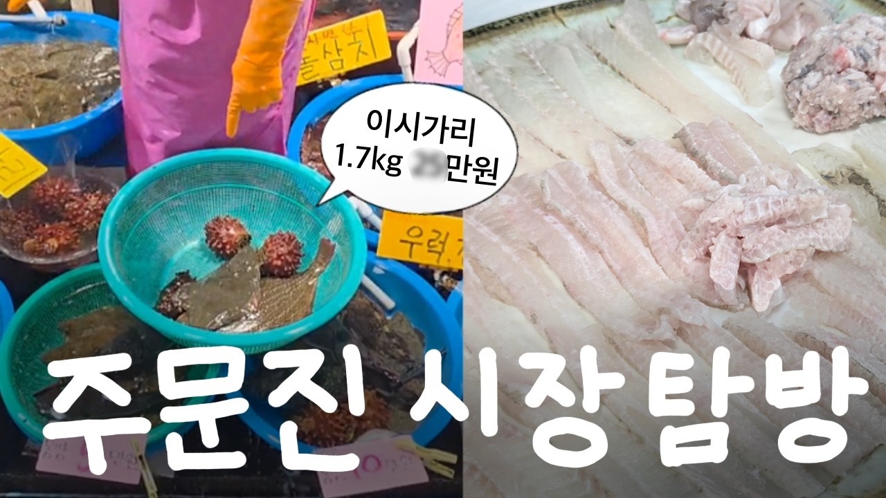 강원도 강릉 주문진에서 먹는 고오급 횟감 이시가리(줄가자미) 주문진 어시장 가격 좋네요 (시세/먹방)