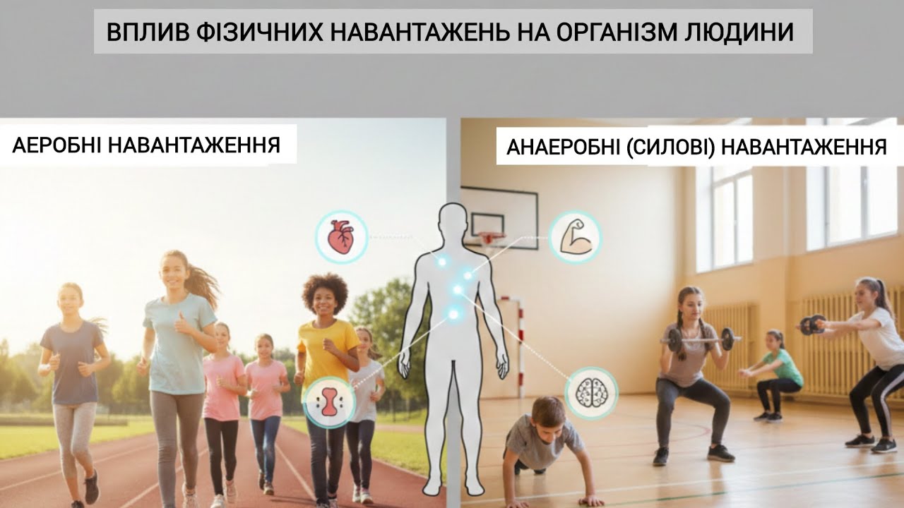  Вплив різних фізичних навантажень на організм людини | Фізична культура | Дистанційне навчання 