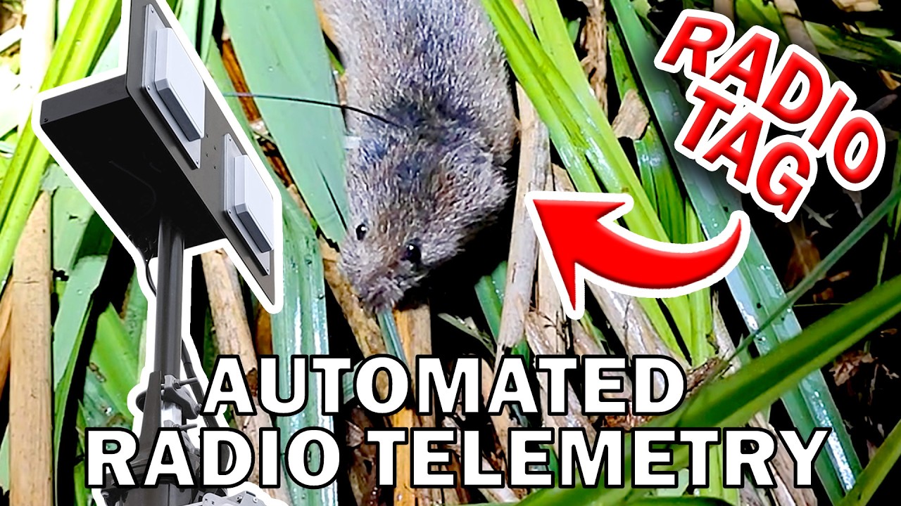 Fully Automated Wildlife Radio Telemetry