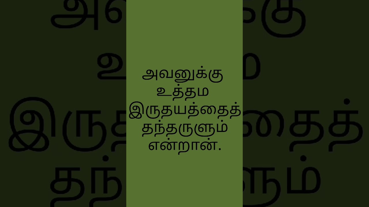 E258 22102025  #olivetreej1116  #dailyepisodes  #bible