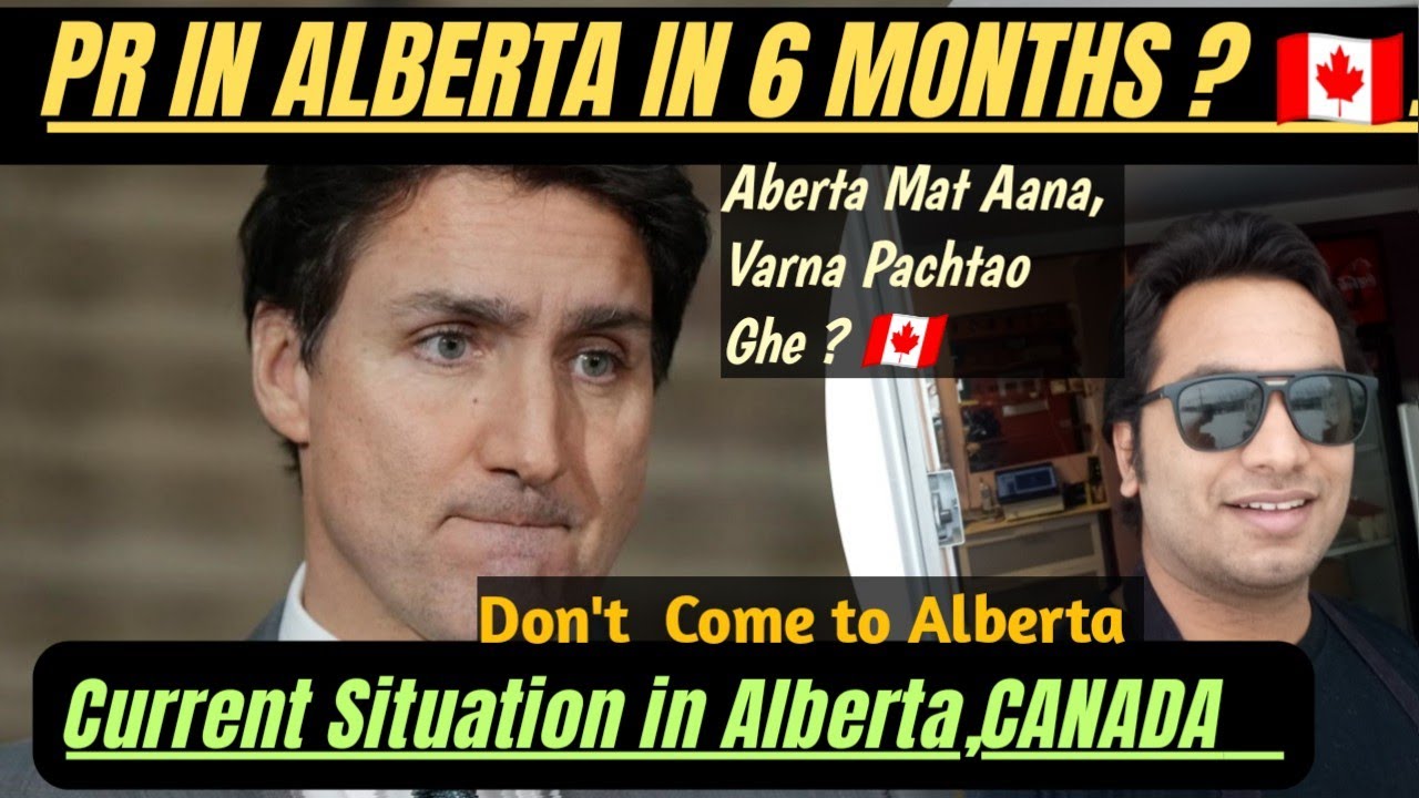 PR IN 6 MONTHS IN ALBERTA 🇨🇦 ? CURRENT SITUATION IN ALBERTA, CANADA 🇨🇦 #canada #india #pr #alberta