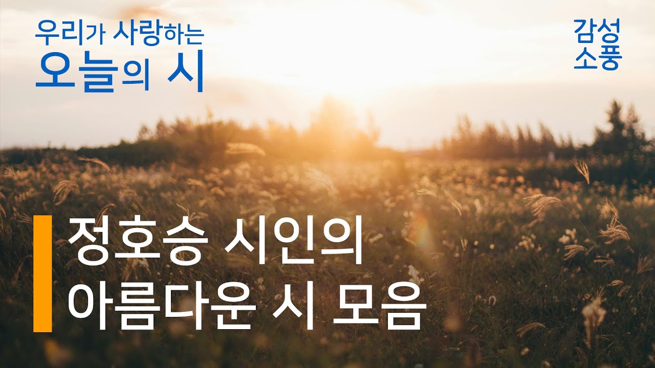 오늘의 시｜정호승 시인의 아름다운 시낭송 모음｜좋은글｜좋은시｜유미숙｜오디오북｜감성소풍