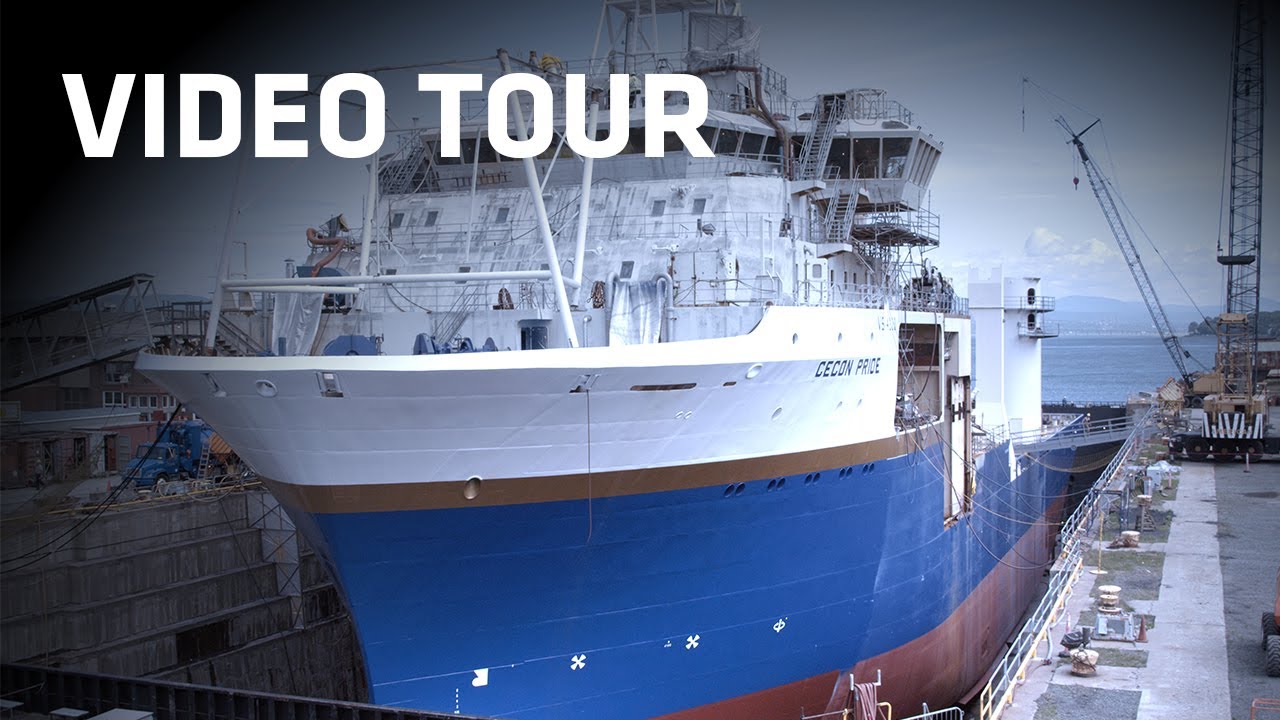 Davie Video Tour