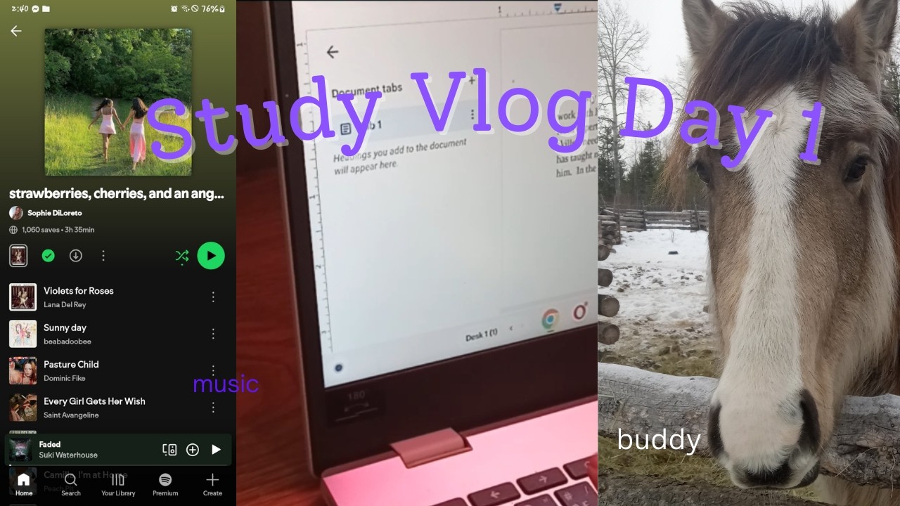Study Vlog Day 1