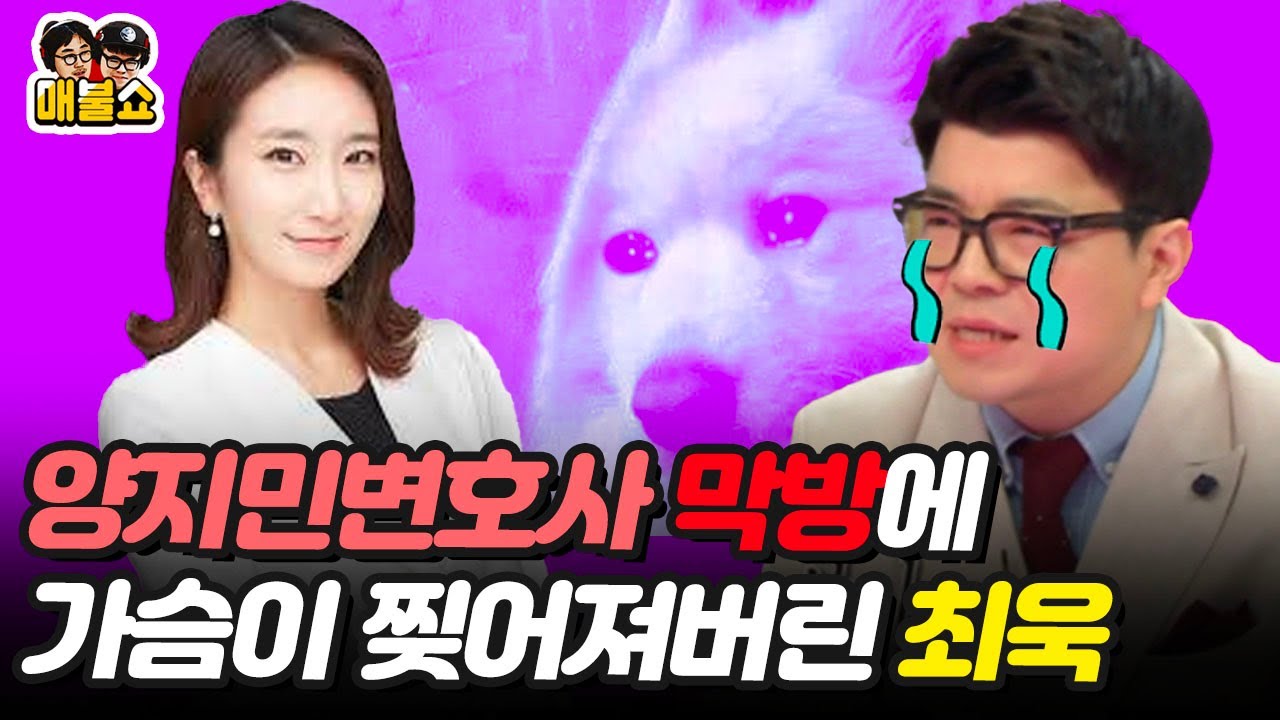 양지민변호사 막방에 가슴이 찢어져버린 최욱